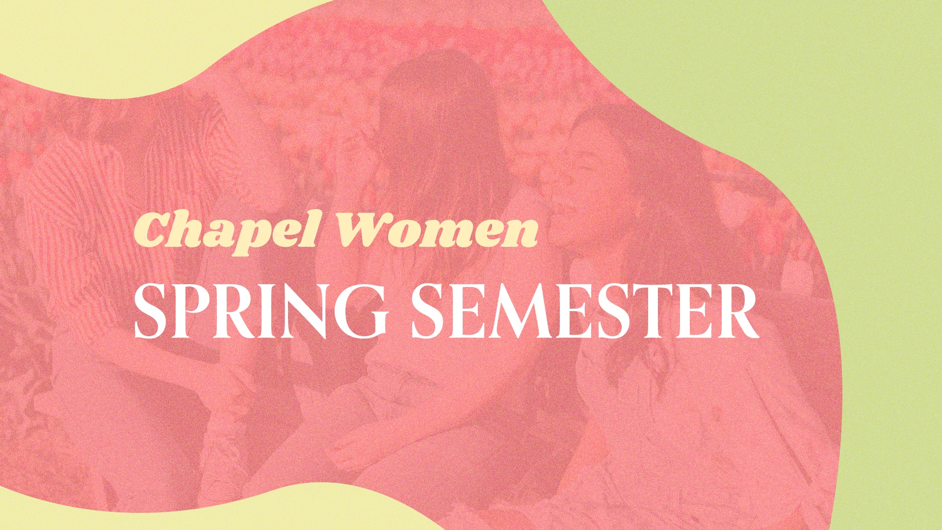 spring semester small groups
