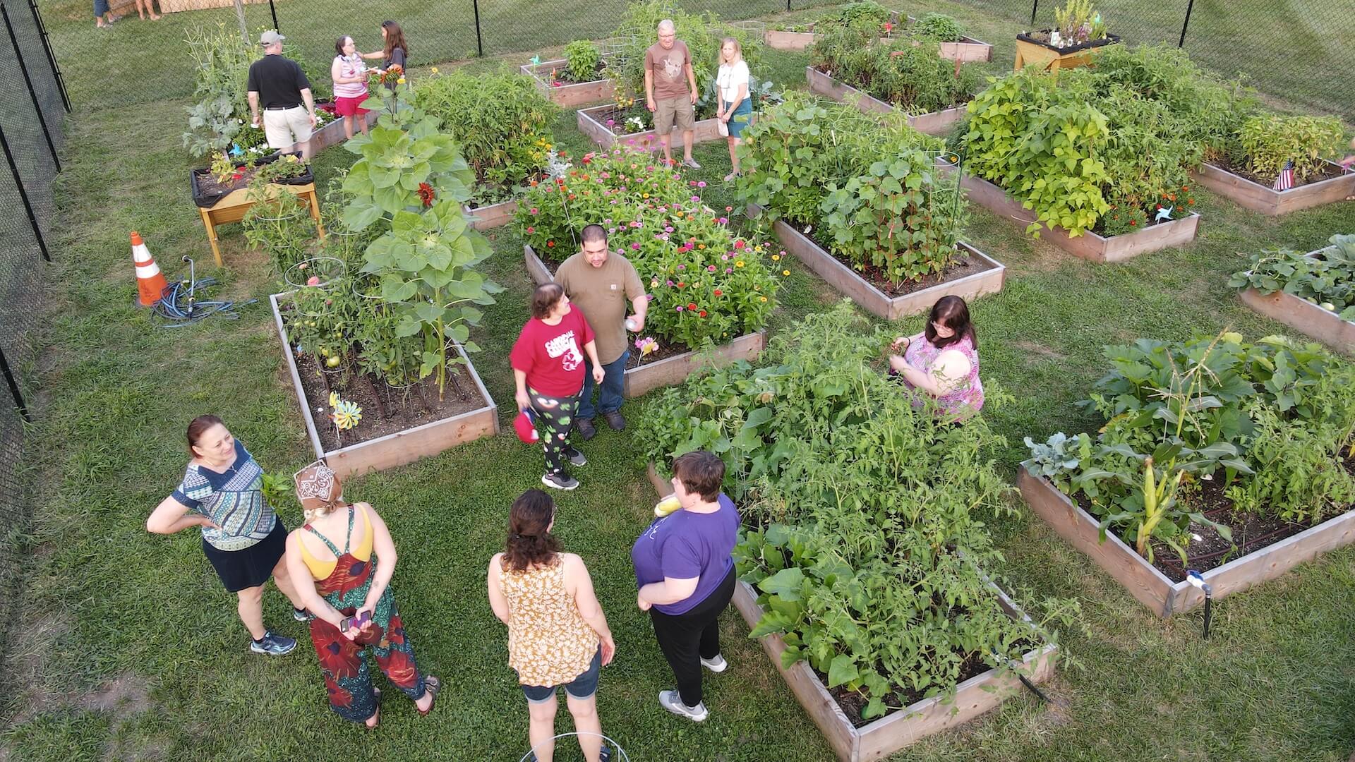 overhead shot of people in community garden