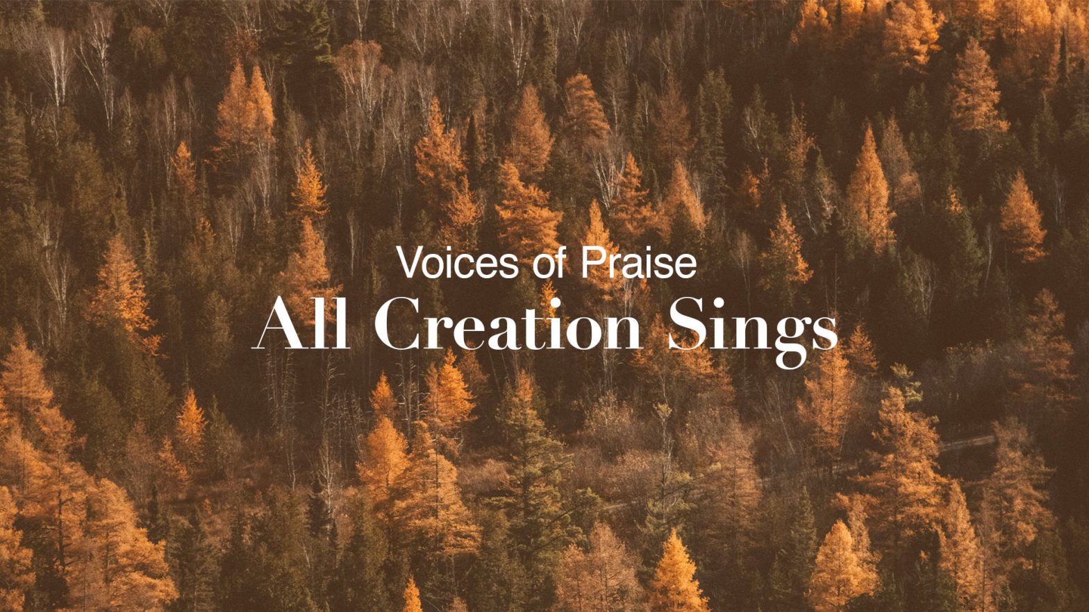 Voices of Praise: All Creation Sings event image