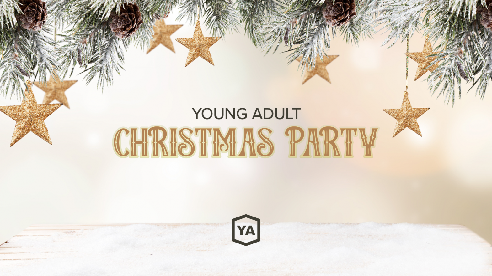 Young Adult Christmas Party image