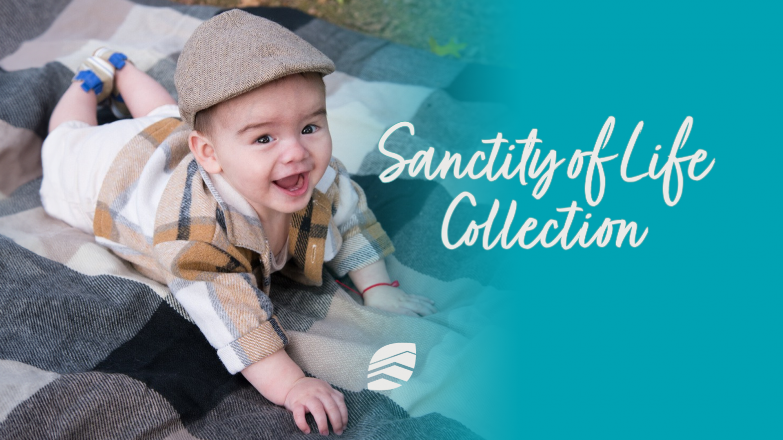 Sanctity of Life Collection image