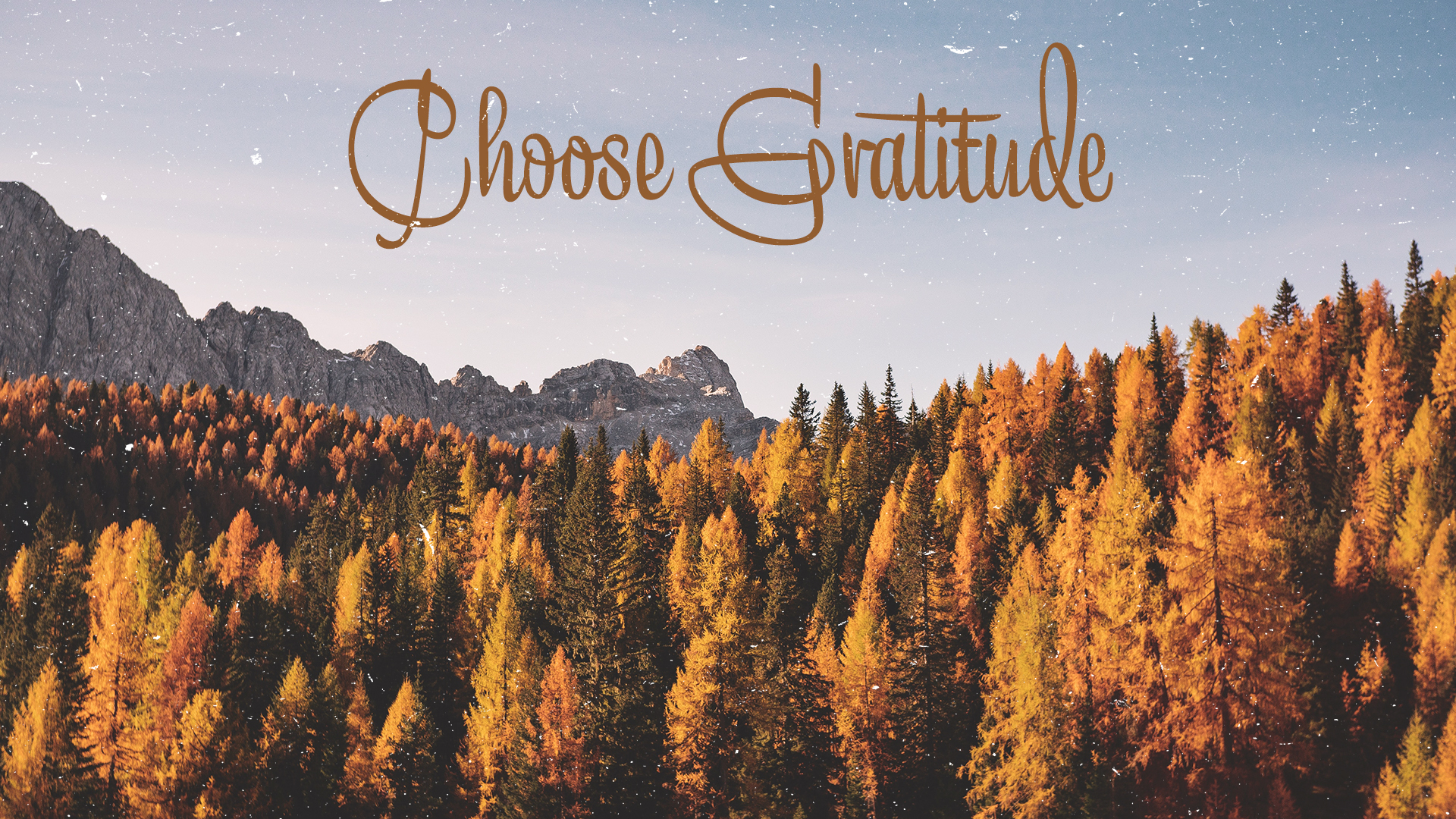 Choose Gratitude image