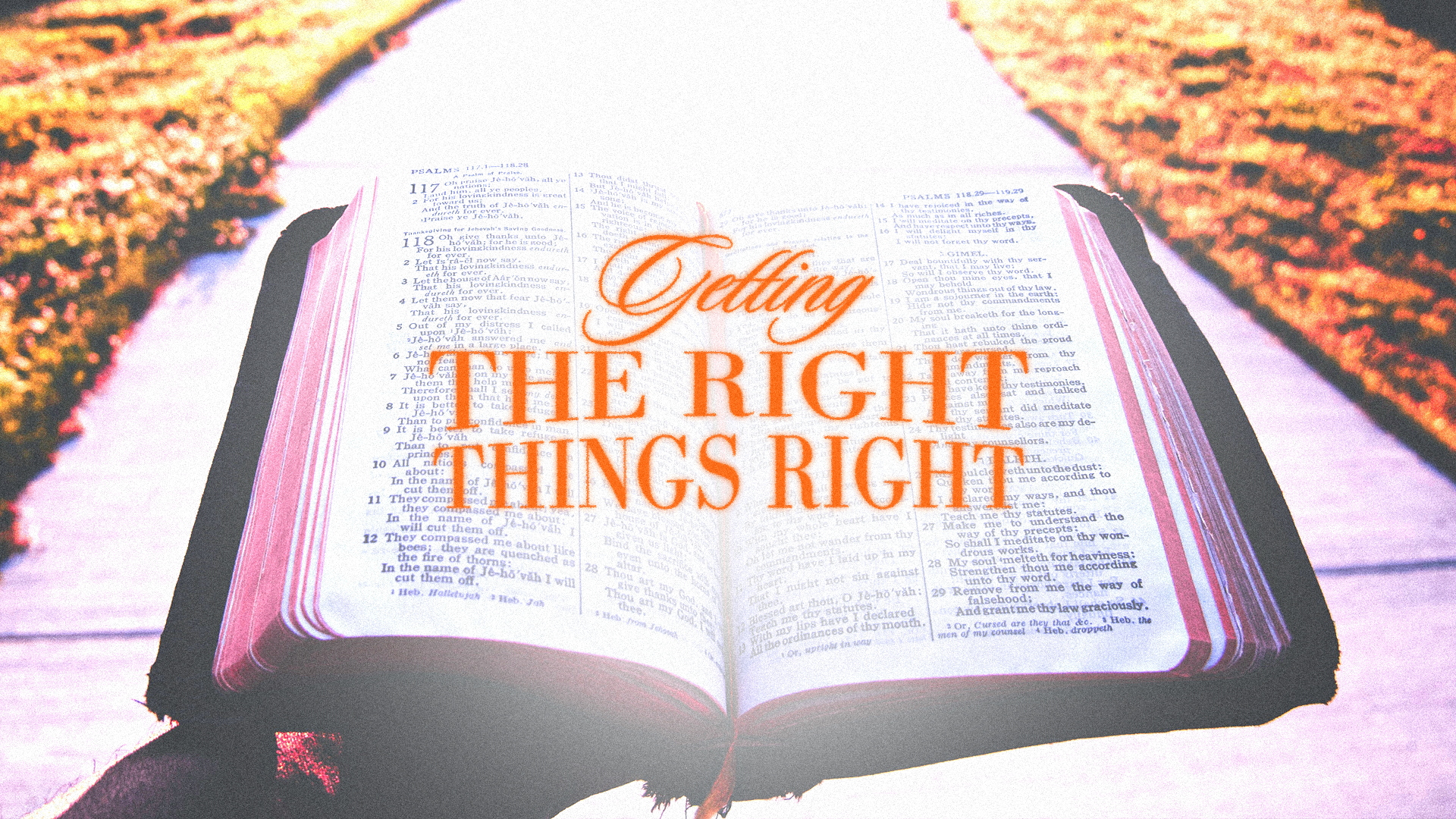 Share Life with People image