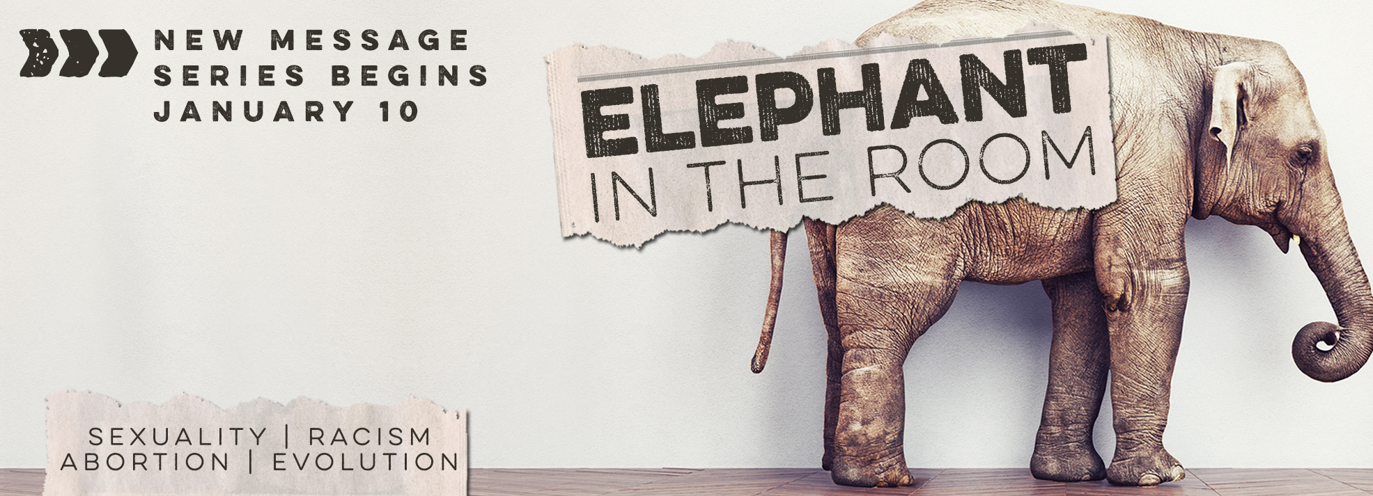 Elephant in the Room: Racism image