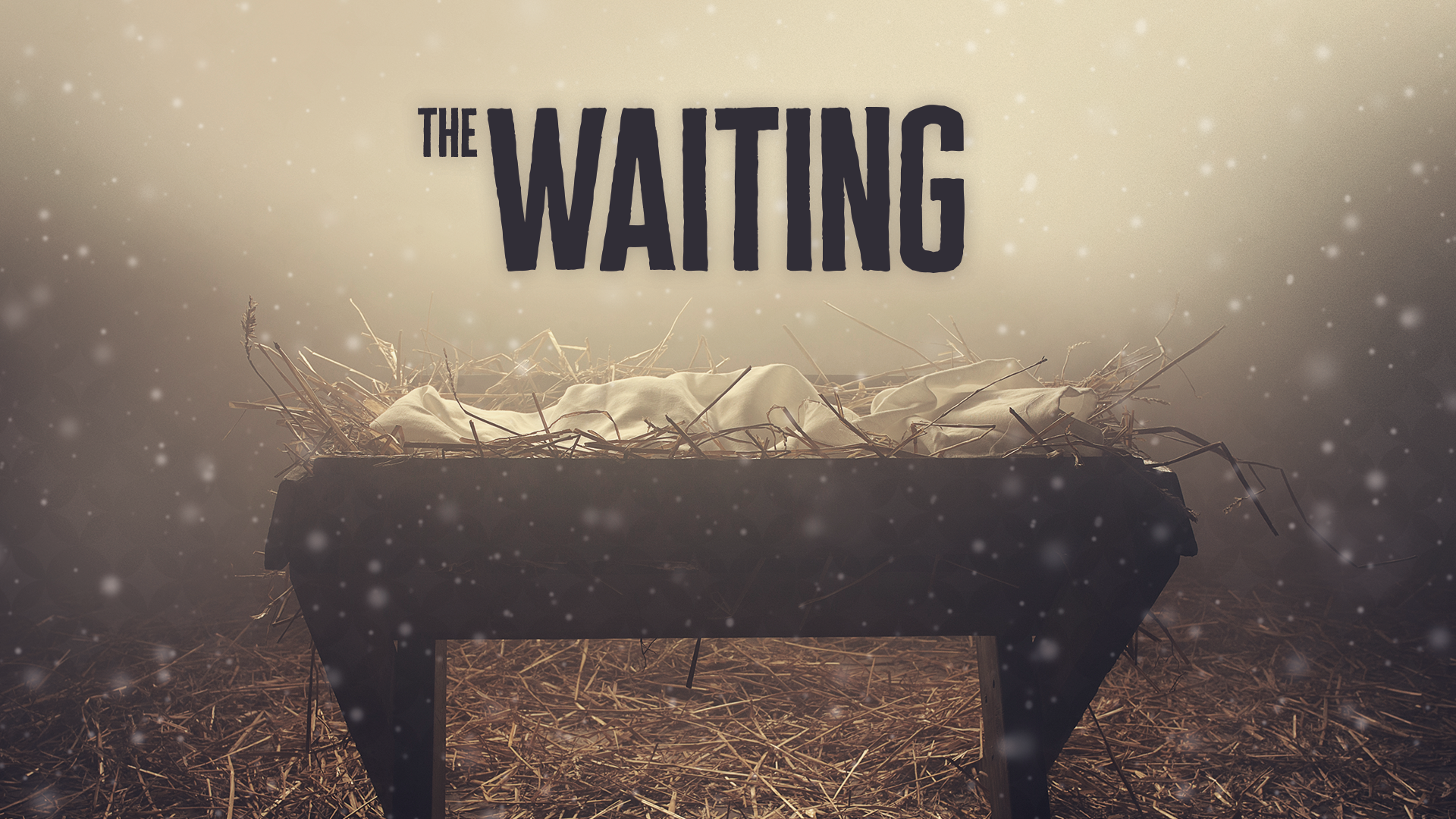 Advent 2016: Waiting For A Leader image